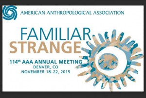 American-Anthropological-Association-2015-Annual-Meeting